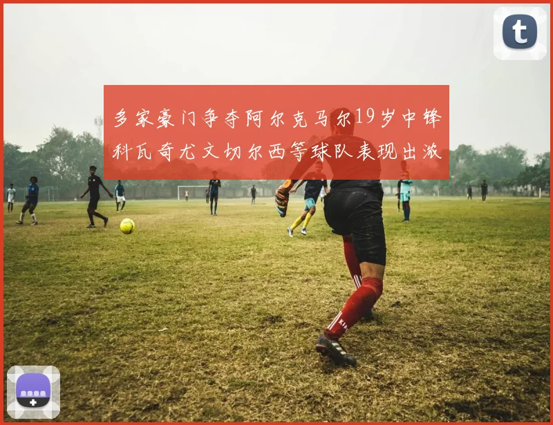 多家豪门争夺阿尔克马尔19岁中锋科瓦奇尤文切尔西等球队表现出浓厚兴趣